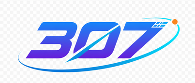 Logo 307